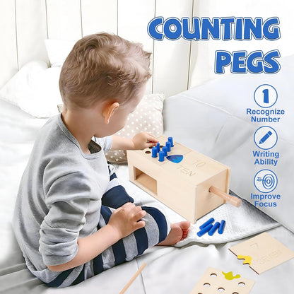 Wooden Montessori Toddler Counting Peg Board Box - Numbers & Math Toys for 1-3 Year Olds