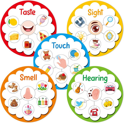 5 Senses Learning Activity for Kids Educational Teacher Supplies Five Senses Sorting Cards Learning Game Develop Fine Motor Skills for Toddlers Preschoolers and Kindergarteners Homeschool Must Haves
