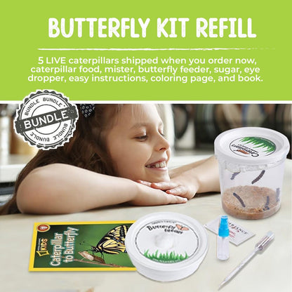 5 Live Caterpillars for Butterfly Habitat Kit - Refill for Painted Lady Butterfly Kit with Rearing Supplies and Book Bundle
