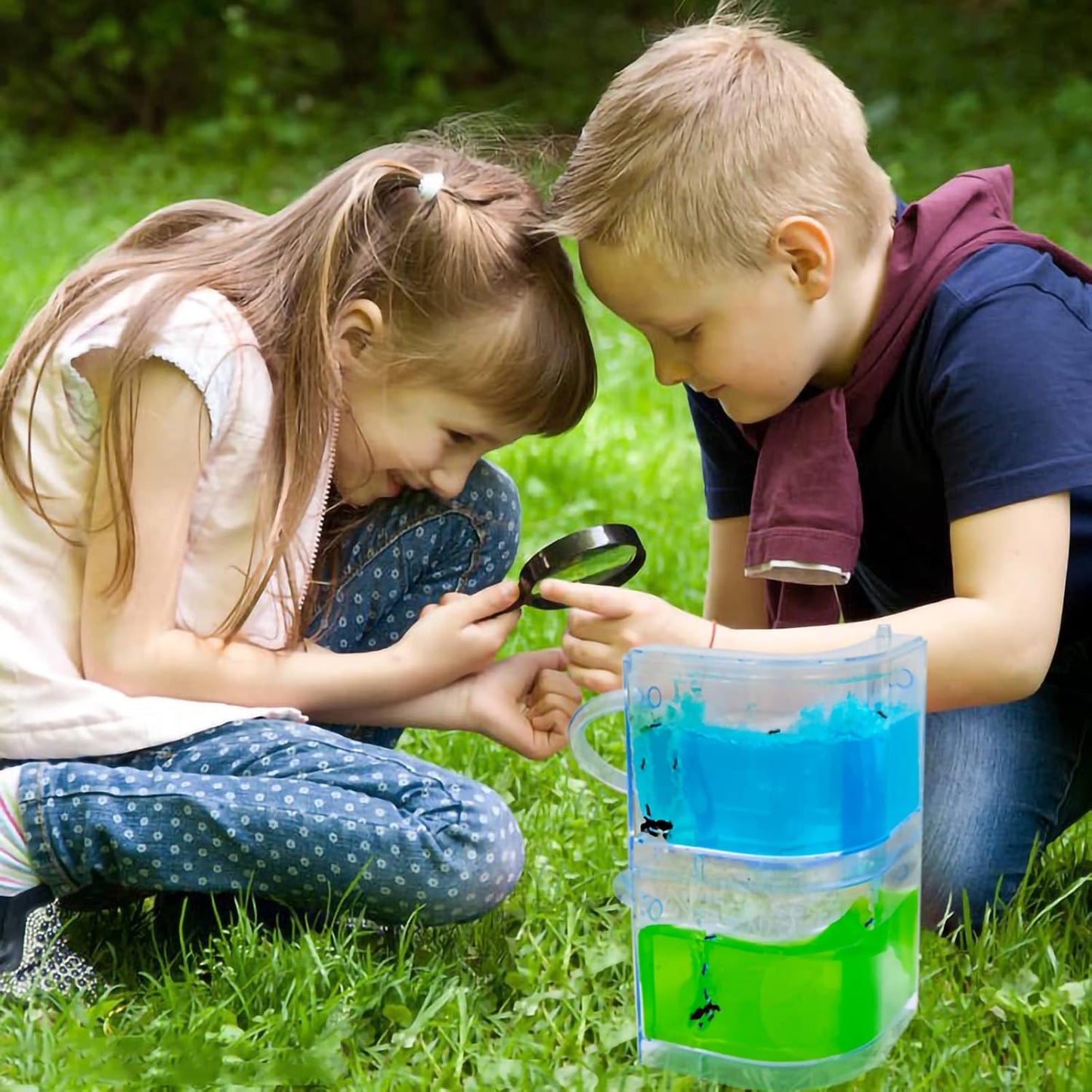 EXBEPE Large 2 Layer Gel Ant Colony Ecosystem Terrarium, Ant Habitat Science Learning Kit