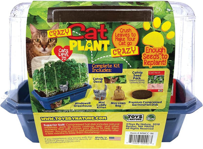 Toys By Nature Miniature Worlds Terrifying Venus Flytrap Terrarium Starter Kit for Kids and Adults, Watch Indoor Carnivorous Fly Traps Grow! Just Add Water! (Frightening Flytraps)