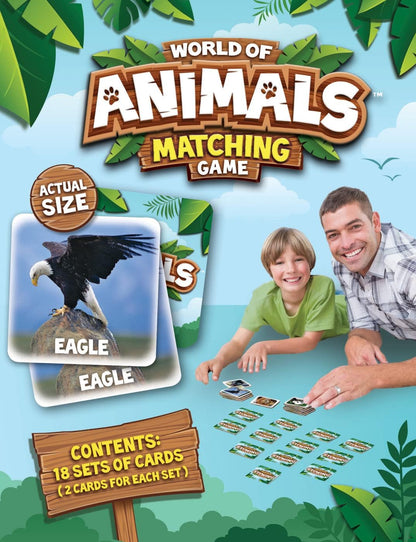 MasterPieces Officially Licensed CAT Picture Matching Card Game for Kids and Families