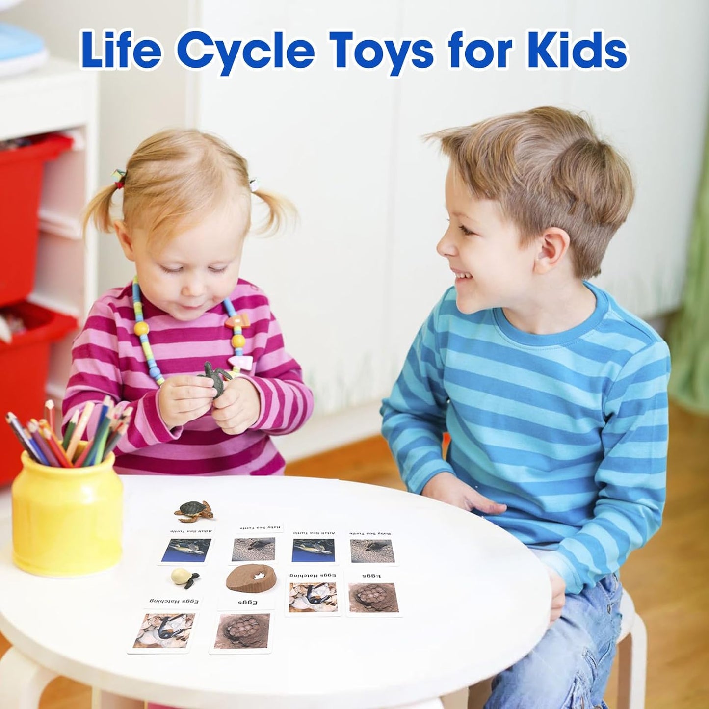 MEROCO Chicken Life Cycle Toys for Kids Insect Ant Bug Toys for Kid 3-5 Animal Flashcards with Figurines Preschool Science Toy for 3-5 Matching Game Science Animals Learning & Education