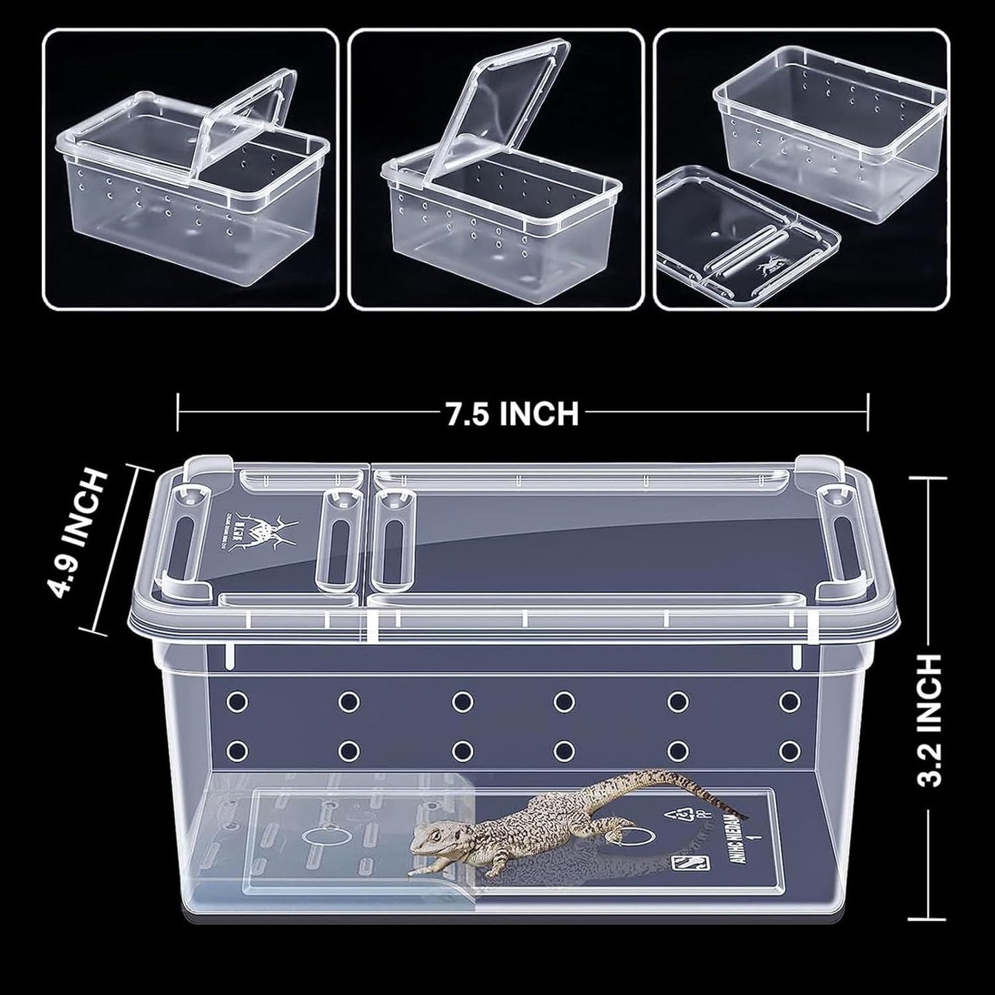 Critter Keeper Ant Farm Cane Toad Trap Little Live Pets Bug Catcher Kit for Kids Frog Habitat Turtle Tank Reptile Terrariums Lizard Cage Fish Bowl Beach Aquarium Catch and Release