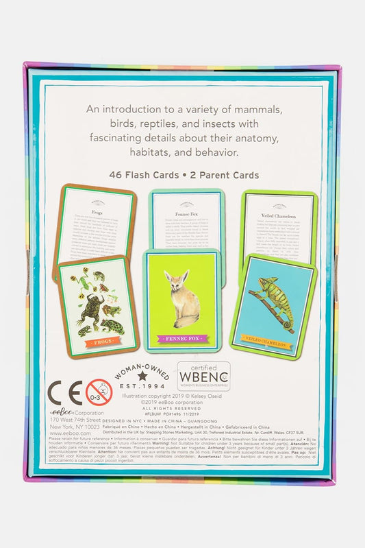 eeBoo: French Vocabulary Flash Cards, Learn French, Imaginative Problem Solving, Educational Games that Cultivates Conversation, Socialization, and Skill-Building, Perfect for Ages 4 and up