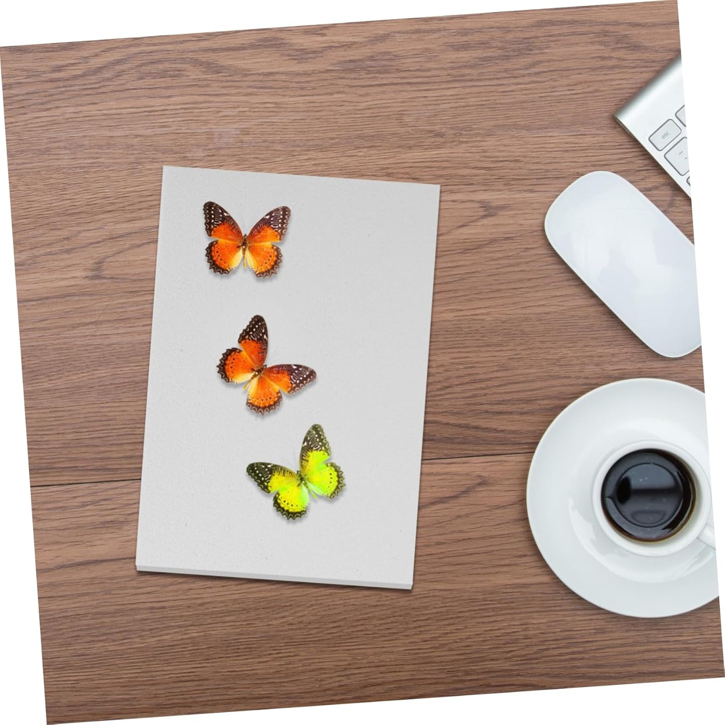 STOBAZA 3pcs Butterfly Specimen Mounting Board Insect Kit Science Supplies for Labs