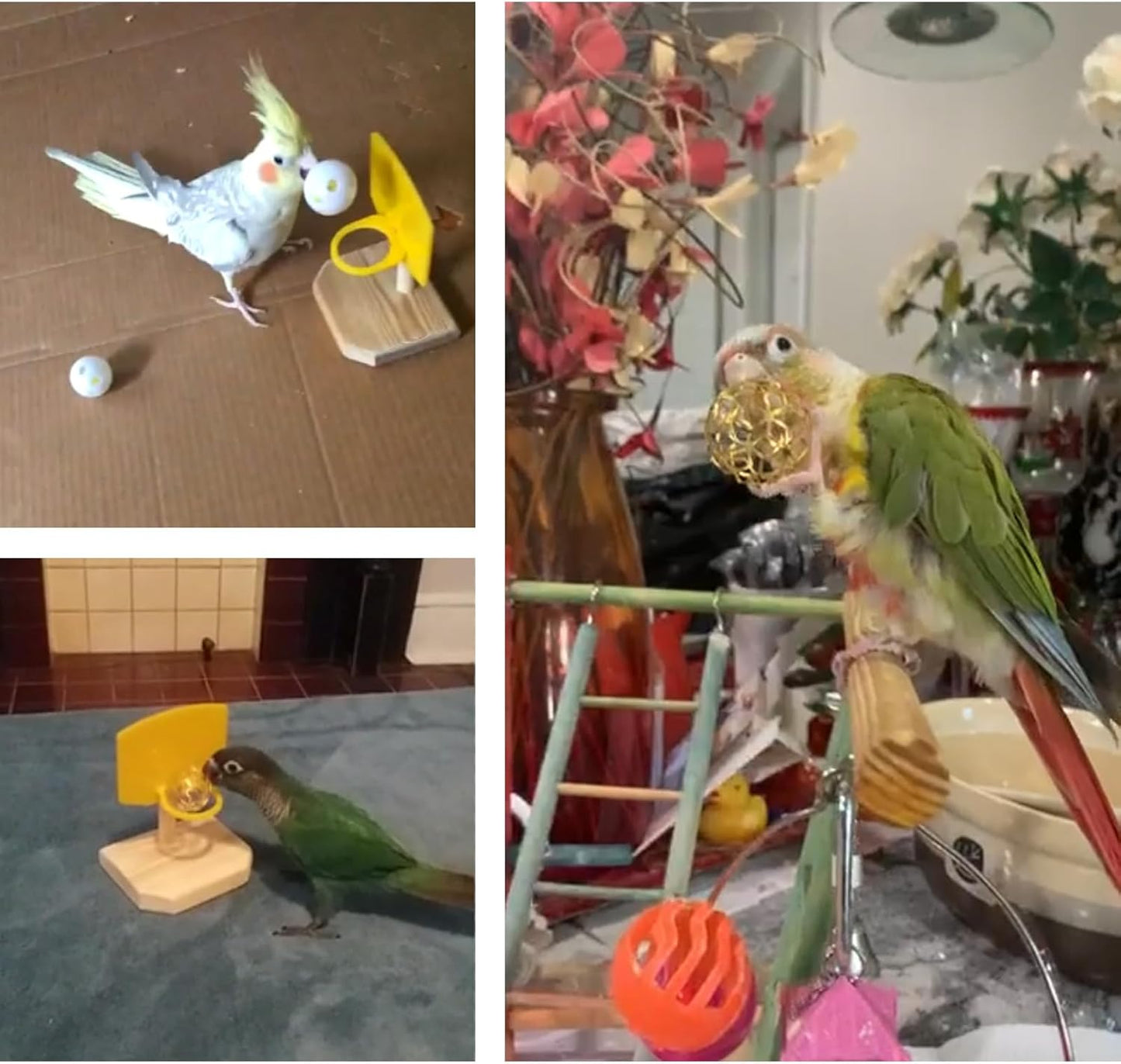 QBLEEV Bird Training Ring Toy, Parrot Trick Tabletop Toys, Educational Stacking Color Rings, Cage Toys