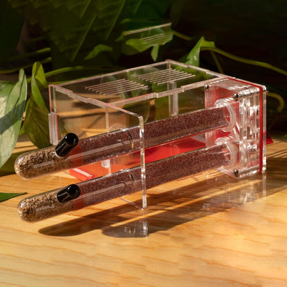 Plaster Test Tube Adult ant Farm Acrylic Transparent ant Observation Behavior Study Live Ants and Queen Education ant nest Small Colony breeding Area Suitable for Children and Enthusiasts Gift