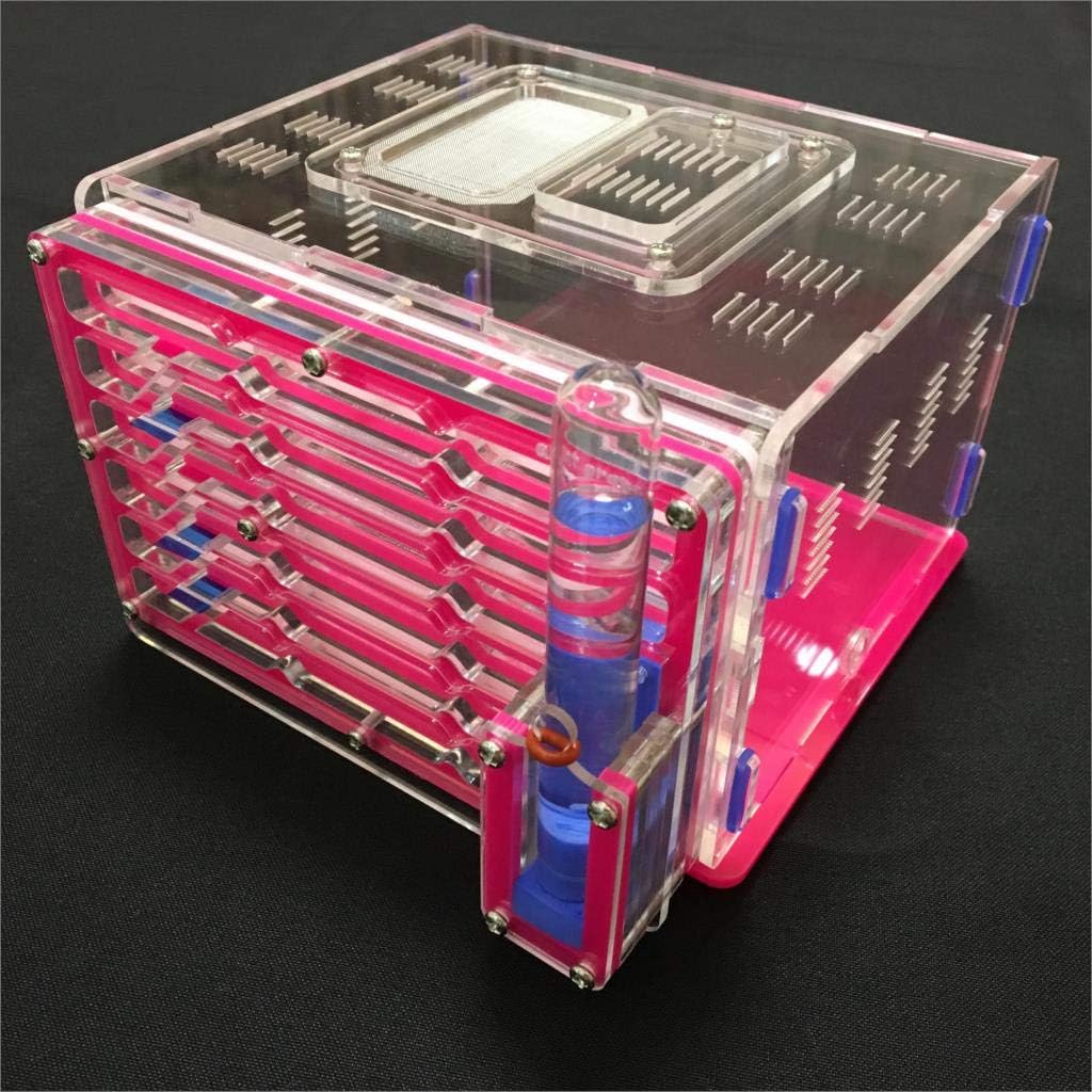 ANT 9 Colors Moisture with Feeding Area nest Farm acryl, Insect nests Villa New pet Advanced Mania for House (Pink)