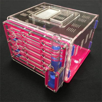 ANT 9 Colors Moisture with Feeding Area nest Farm acryl, Insect nests Villa New pet Advanced Mania for House (Pink)