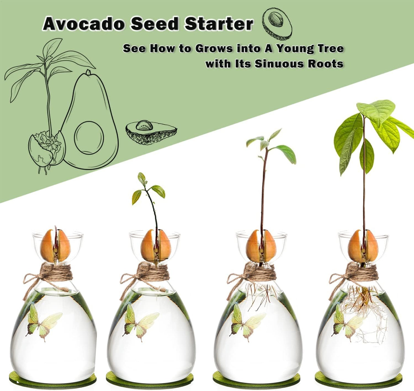 Avocado Seed Vase,DIY Avocado Seed Starter Glass Vase with Absorbable Mat and Butterfly Stickers,Avocado Tree Growingredients Vase for Seed Gardening Gifts Sirensky Brand