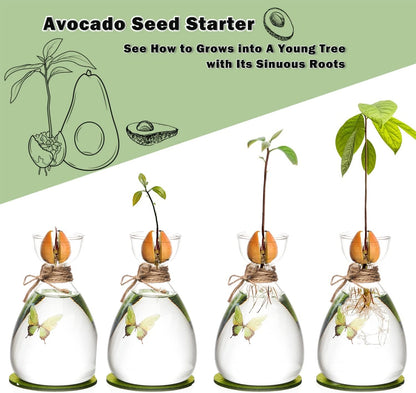 Avocado Seed Vase,DIY Avocado Seed Starter Glass Vase with Absorbable Mat and Butterfly Stickers,Avocado Tree Growingredients Vase for Seed Gardening Gifts Sirensky Brand