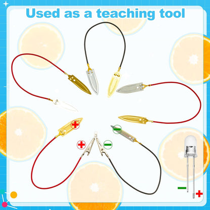 Soulchen 12 Sets Fruit Battery Scientific Experiment Kit with Electronic Clock for Home Teaching Accessories, Orange Lemon Potato Battery Physics Teaching Experiment Educational