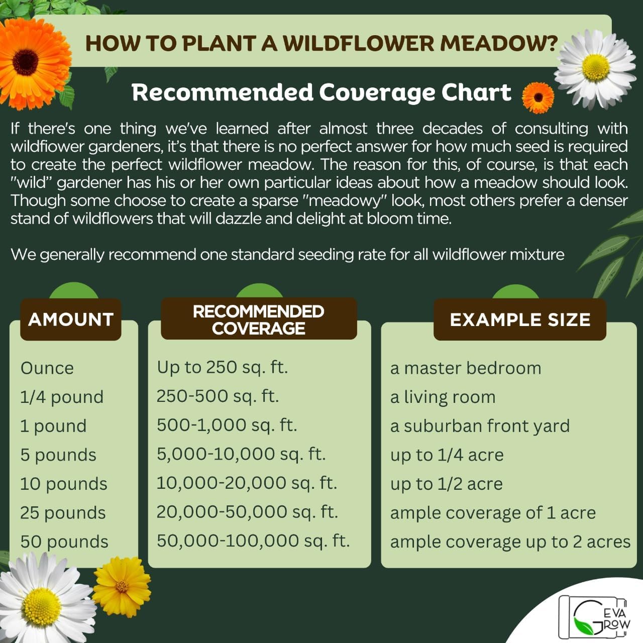 Mini Wildflower Seed Shaker - Save The Bees Seed Mix, by GevaGrow | 80,000+ Seeds | Pollinator & Bee Attracting Flower Seeds Bulk for Planting in Pots & Outdoor Gardens | 2 Ounce