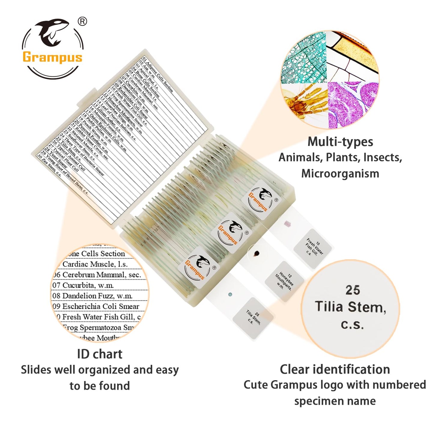 30 Prepared Microscope Slides with Specimens for Kids Students - Plants, for Biological Science Lab, Children's Science Education, Homeschooling Use