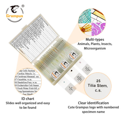 30 Prepared Microscope Slides with Specimens for Kids Students - Plants, for Biological Science Lab, Children's Science Education, Homeschooling Use