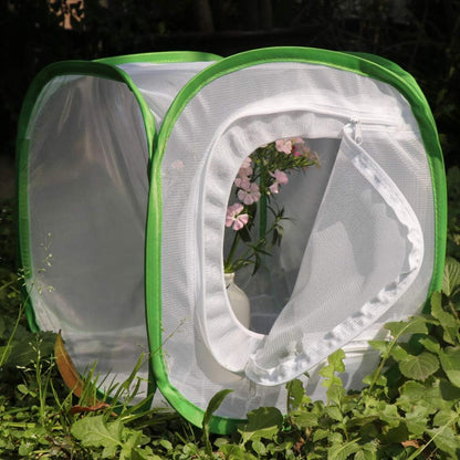 RESTCLOUD Insect and Butterfly Habitat Cage Terrarium Pop-up 24 Inches Tall with Zipper Protection
