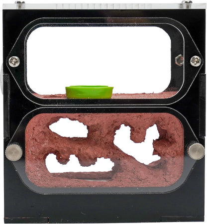 Ant Farm for Live Ants - for Small Ant Clony - Natural Learning Toy - Great Gift