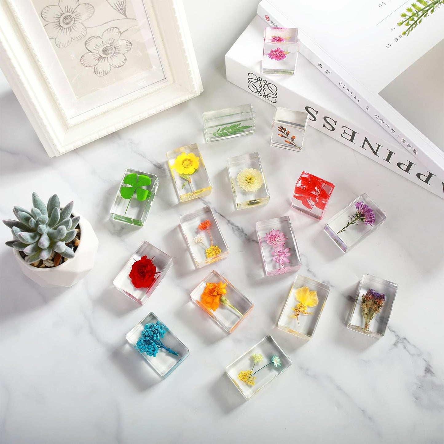 16 Pcs Ladybug Insect in Resin Specimen Butterfly Bugs Collection Paperweights，16 Styles Real Bug Specimen Bug Kit Preserved in Resin for Scientific Educational Display Supplies (Ladybug)
