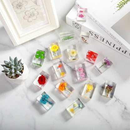 16 Pcs Ladybug Insect in Resin Specimen Butterfly Bugs Collection Paperweights，16 Styles Real Bug Specimen Bug Kit Preserved in Resin for Scientific Educational Display Supplies (Ladybug)