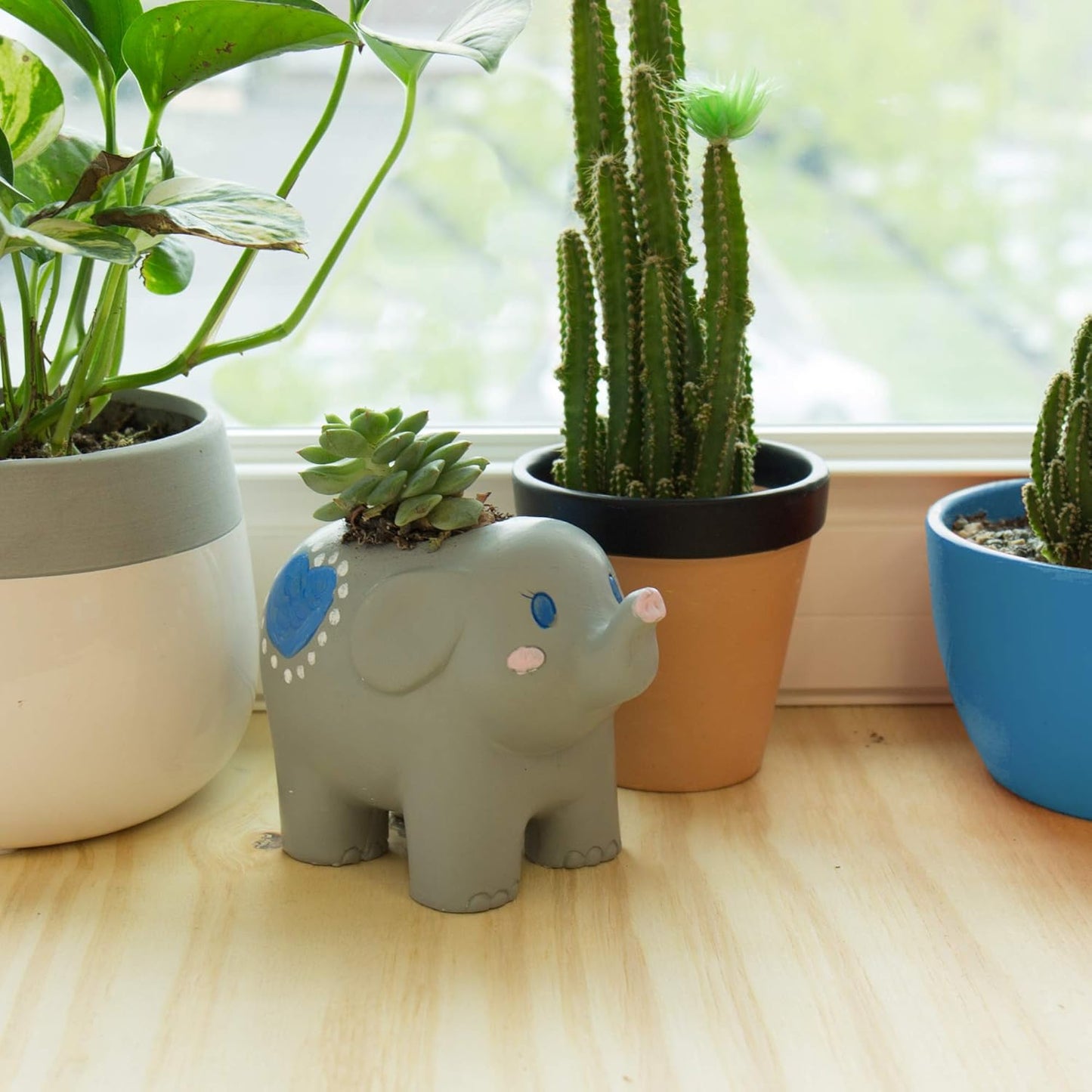 Creative Roots Paint Your Own Rock Pets by Horizon Group USA, 6 Colors, Paint Brush, Wiggly Eyes and Glue Included, Multicolor