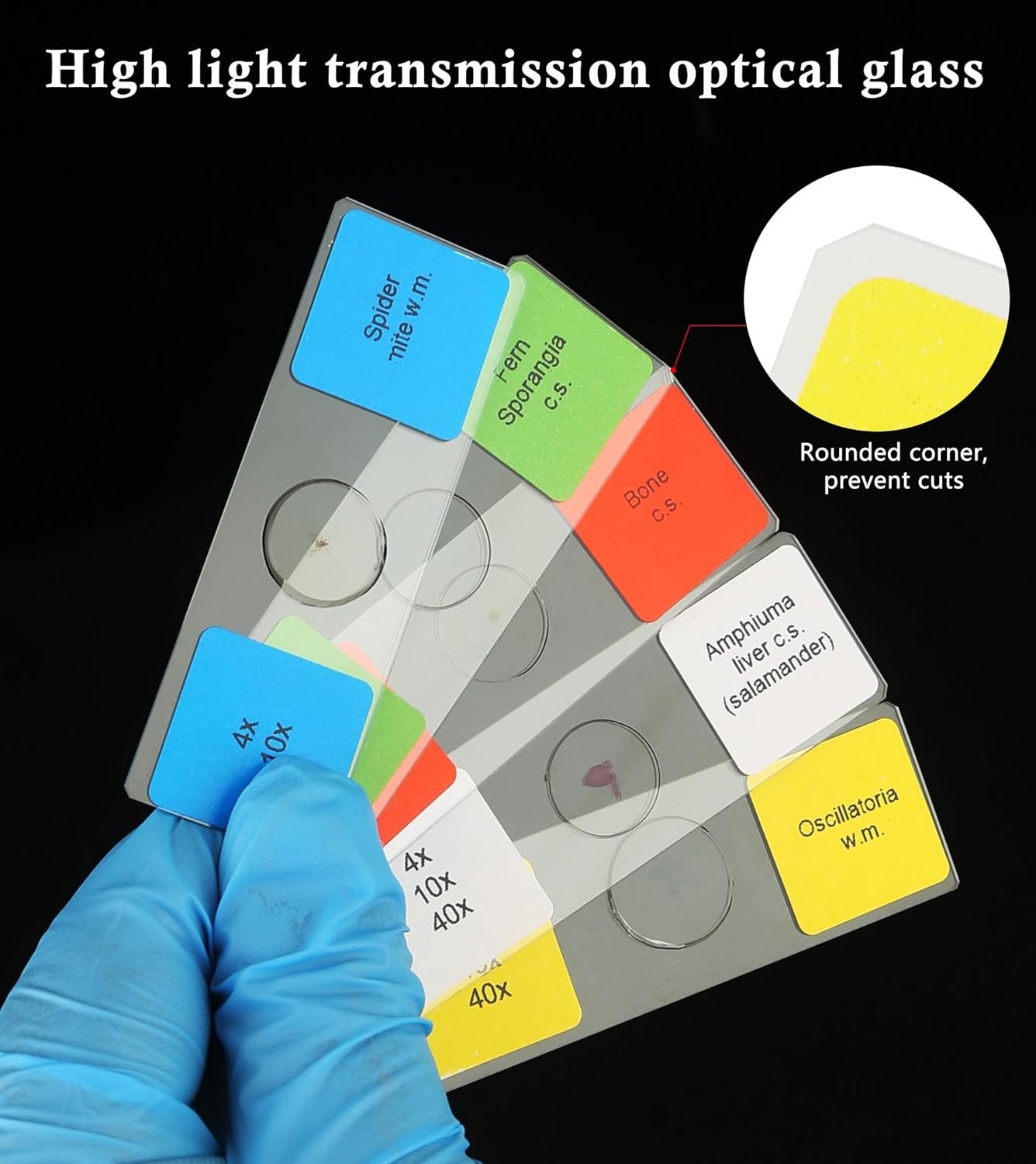 Microscope Slides with Specimens for Kids, 30 Lab-Grade Prepared Microscope Slides, Animal Plant Microbe Cells, STEM Biology Kit for Kids Ages 6-8 Homeschool, Classroom Labs & Science Education