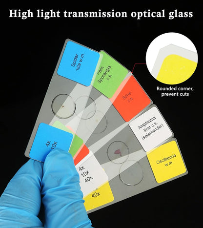 Microscope Slides with Specimens for Kids, 30 Lab-Grade Prepared Microscope Slides, Animal Plant Microbe Cells, STEM Biology Kit for Kids Ages 6-8 Homeschool, Classroom Labs & Science Education