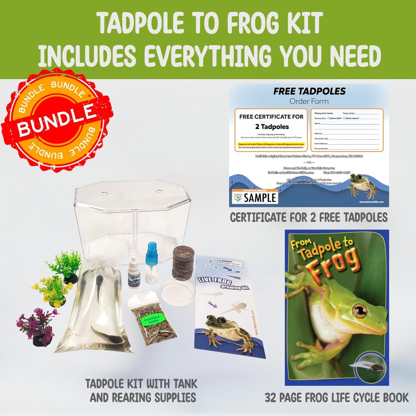 Tadpole to Frog Starter Kit - Includes Certificate for 2 Live Tadpoles - All-in-One Bundle with Habitat, Food, Instructions - Ideal for Education and Home Observation
