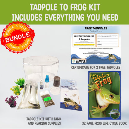 Tadpole to Frog Starter Kit - Includes Certificate for 2 Live Tadpoles - All-in-One Bundle with Habitat, Food, Instructions - Ideal for Education and Home Observation