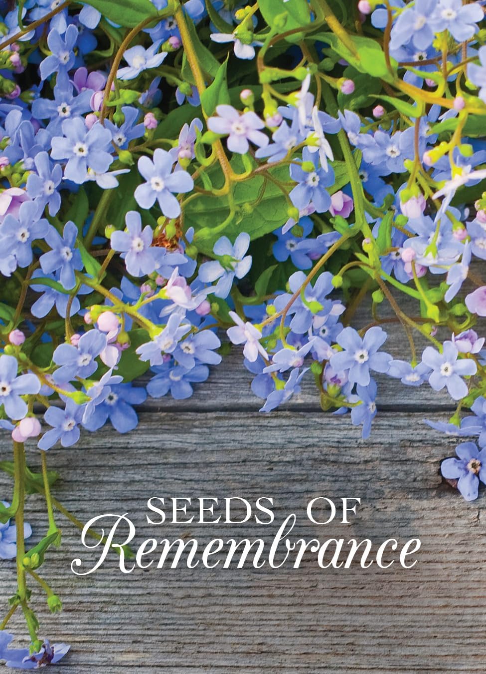 Grateful Memories Dove with Bird and Butterfly Mix Seed Favor Packets - Gardening Gifts - Wild Flower Seeds for Planting - Garden or Indoor Plant Flowers - Growing Plants in Memory