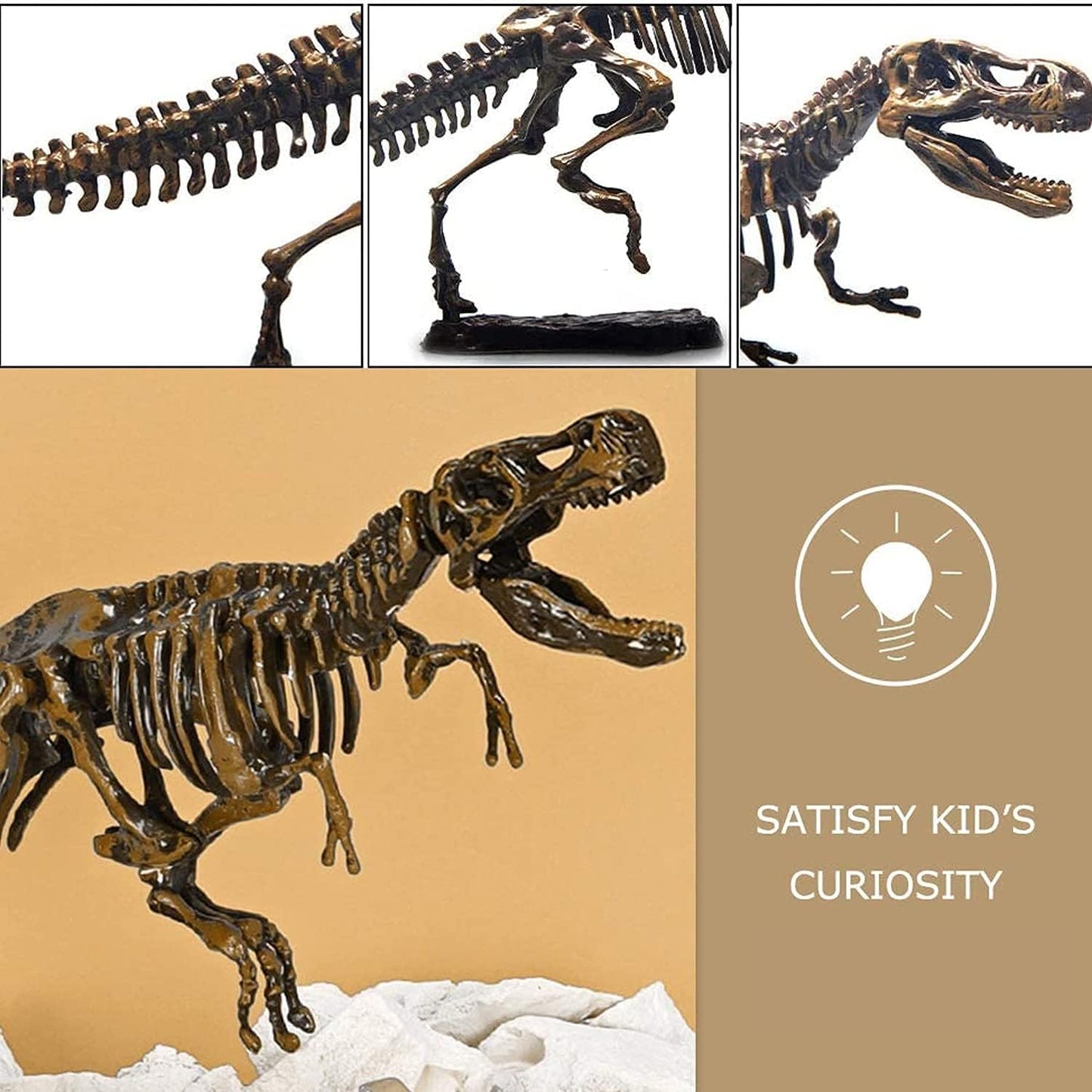 Dig & Discover Dino Tyrannosaurus Rex Dinosaur Skeleton 3D Fossil Bones Excavation, Science Educational Toy Kit for Kids, Children