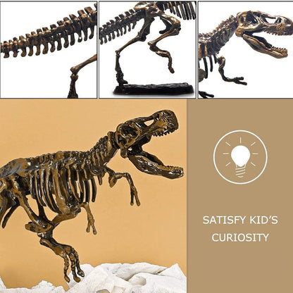 Dig & Discover Dino Tyrannosaurus Rex Dinosaur Skeleton 3D Fossil Bones Excavation, Science Educational Toy Kit for Kids, Children