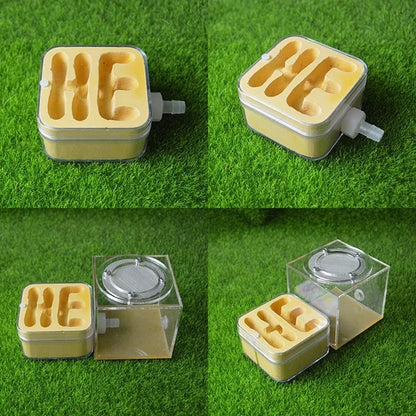 KXCR Ant Farm DIY Plaster Ant Nest Acrylic Ants Farm Pet Ant Castle Workshop Home Garden Insect Box Children's Natural Ecological Science Education Unique Gift