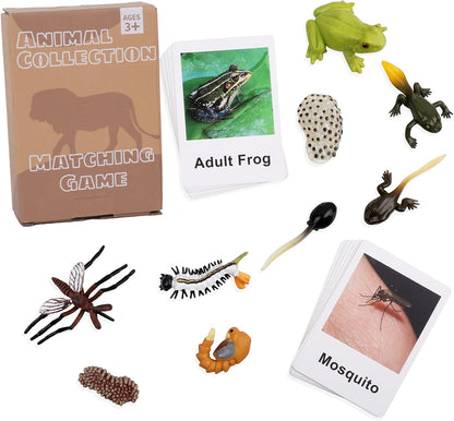 MEROCO Chicken Life Cycle Toys for Kids Insect Ant Bug Toys for Kid 3-5 Animal Flashcards with Figurines Preschool Science Toy for 3-5 Matching Game Science Animals Learning & Education