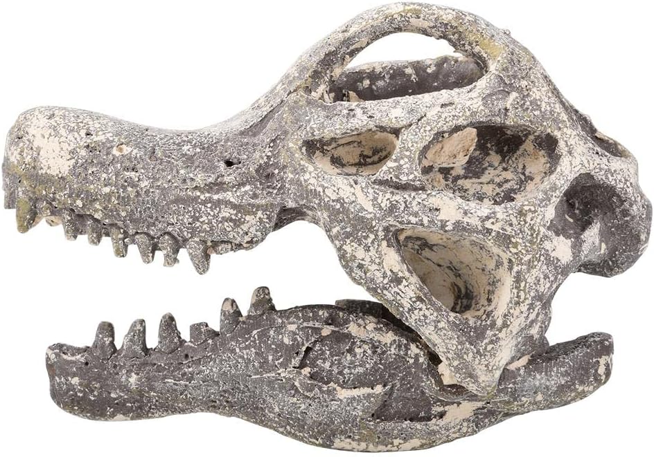 Rhode Island Novelty 6.5" Brachiosaurus Skull Excavation Kit, 1 Piece per Order