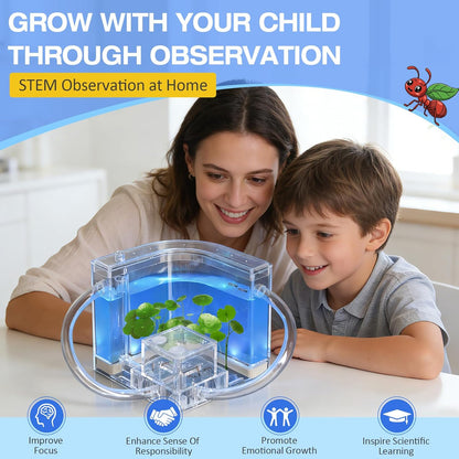 Ant Farm, Ant Habitat Kit with Built-in Lights for Observation and Learning, Fostering Exploration, Growth, and Discovery at Home