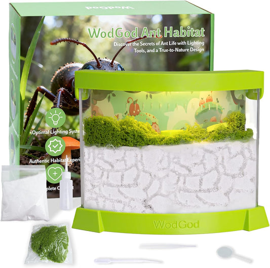 Illuminated Ant Farm Habitat with Magnifier - Educational Ecosystem for Ant Colony Observation, Home & Classroom Science Study (Live Ants Not Included)