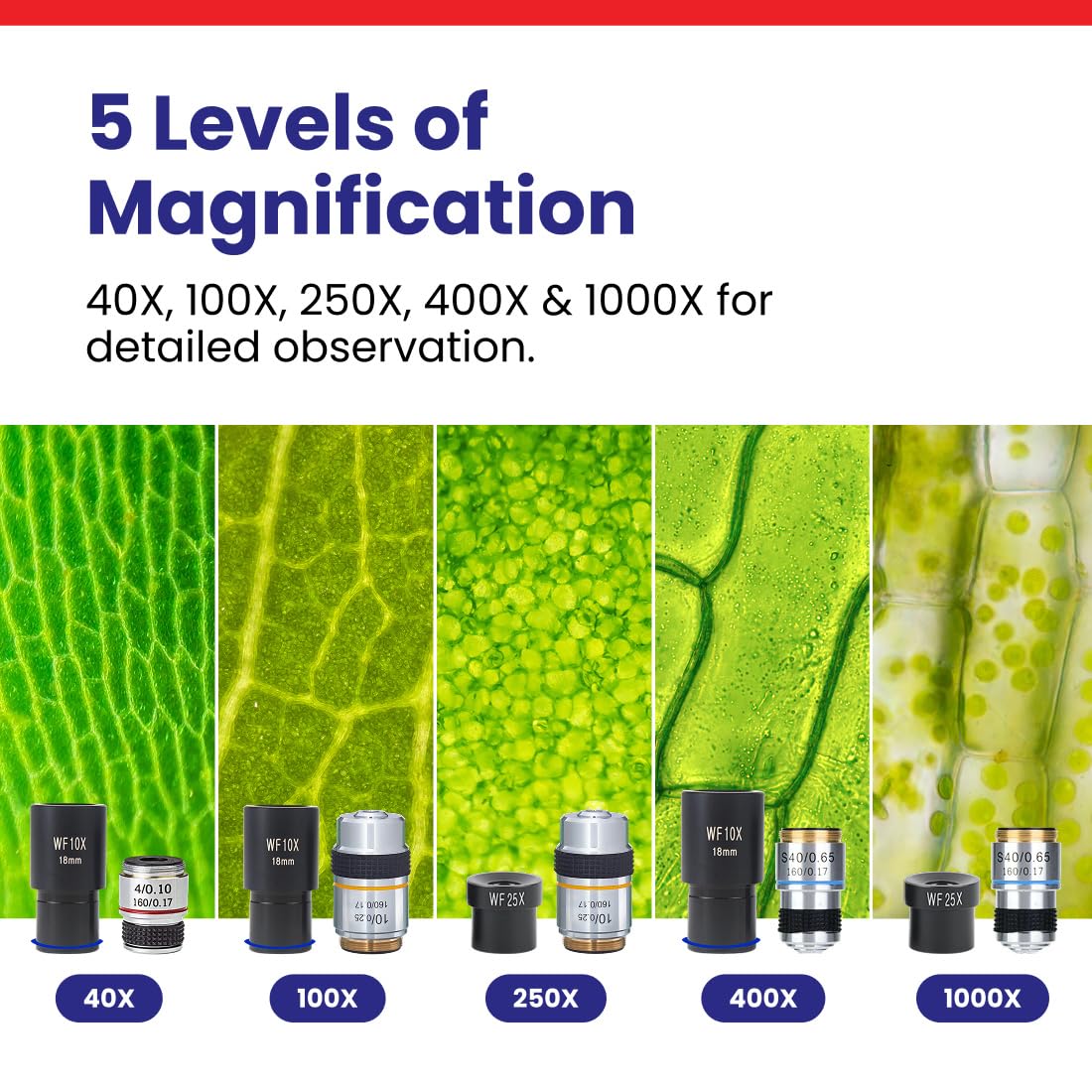 AmScope M150C / M150C-I 40X-1000X All-Metal Optical Glass Lenses Cordless LED Student Biological Compound Microscope