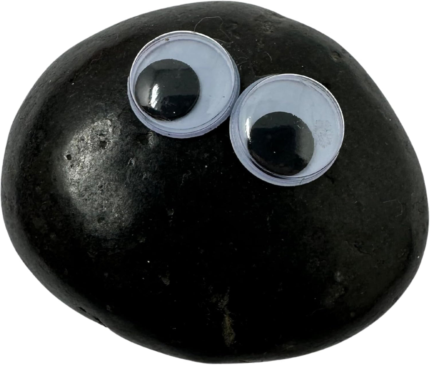 Rock Pet Adoption Kit Funny Novelty Gag Gift (Green Eyes)