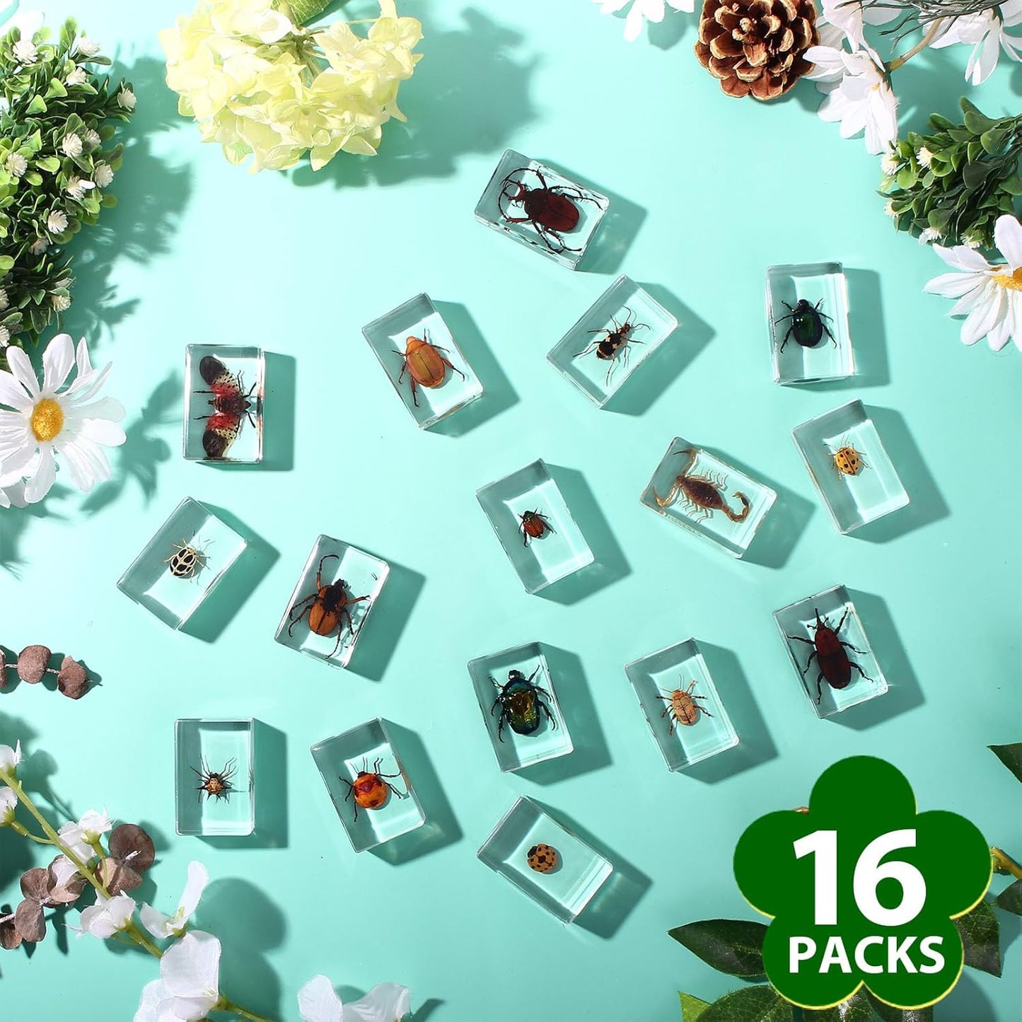 16 Pcs Ladybug Insect in Resin Specimen Butterfly Bugs Collection Paperweights，16 Styles Real Bug Specimen Bug Kit Preserved in Resin for Scientific Educational Display Supplies (Ladybug)
