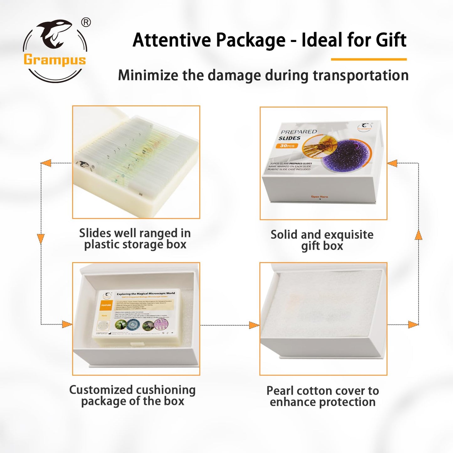30 Prepared Microscope Slides with Specimens for Kids Students - Plants, for Biological Science Lab, Children's Science Education, Homeschooling Use