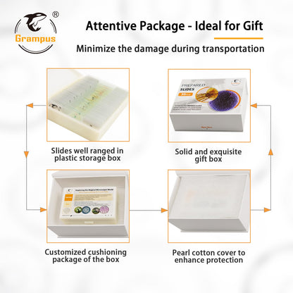 30 Prepared Microscope Slides with Specimens for Kids Students - Plants, for Biological Science Lab, Children's Science Education, Homeschooling Use