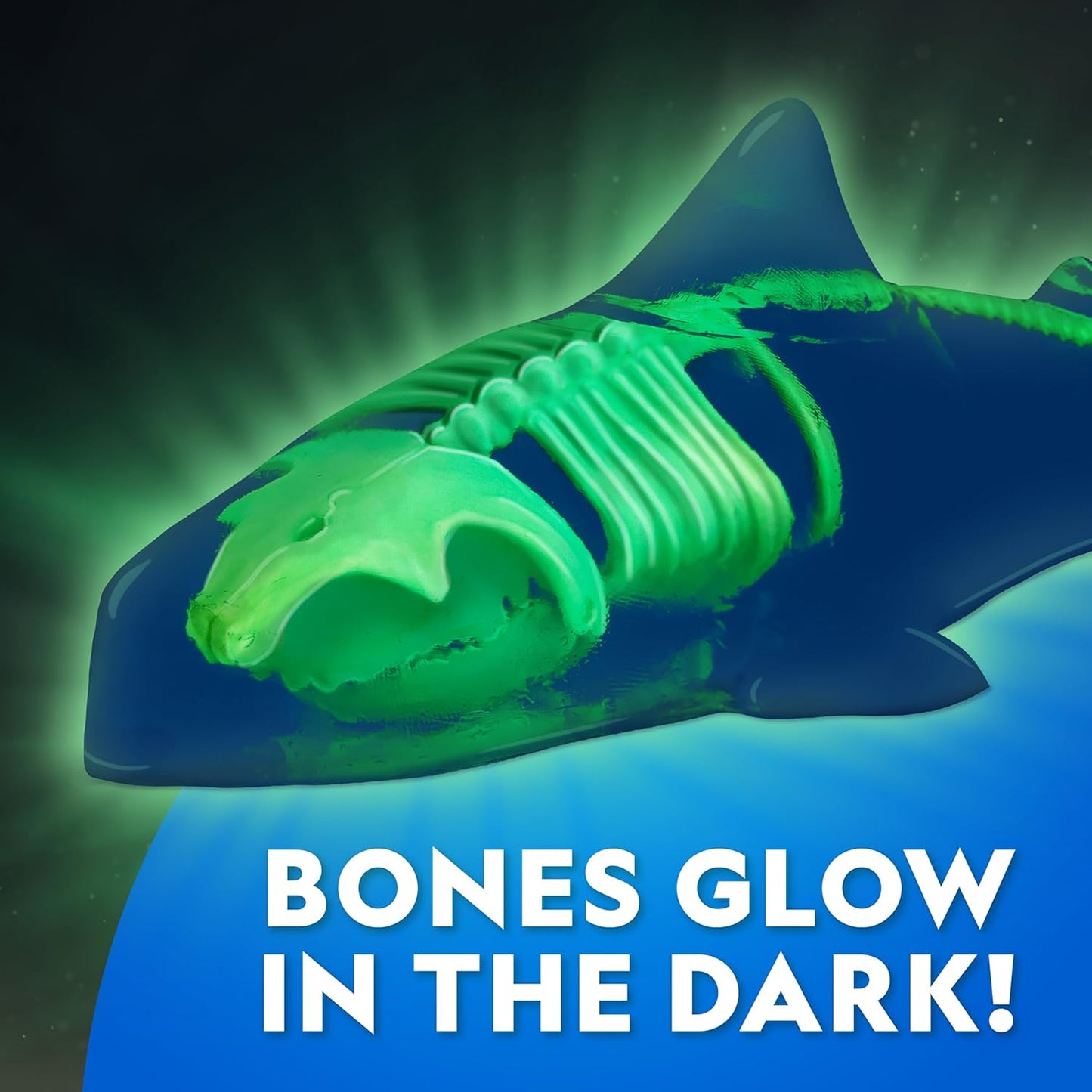 National Geographic Shark Dissection Kit – Glow in the Dark Great White Shark Anatomy Lab with 12 Bones & Organs, Refill Pack, Kid-Friendly Tools & Learning Guide