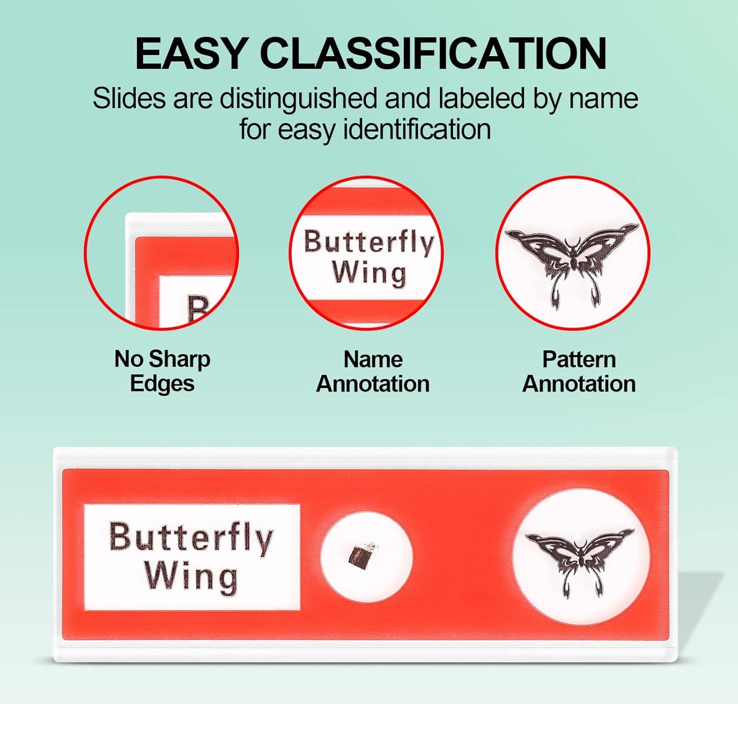 Prepared Microscope Slides for Kids, 48pcs Plastic Animals Insects Plants Flowers Sample Specimens for Students Children Homeschooling Biology Science Programs