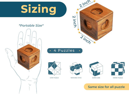 BSIRI 16 in 1 Wooden Brain Teaser Puzzles for Adults and Teens or Kids Interlocking 3D Mini Wood Mind Games Hand Puzzle Teasers Set Toys Coffee Table Games Gift
