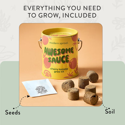 Modern Sprout Complimentary Color Grow Kits (Pack of 4) - Gift for Plant Lovers - Seed Starter Kit - Includes Organic Strawberry Tomato Sunflower & Cactus Seeds - Gardening Gifts that Grows with Love
