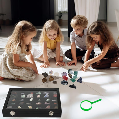 Rock Collection Box for Kids - Display Case for Collectibles - Storage and Display Shelf - Generation 2
