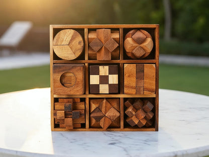 BSIRI 16 in 1 Wooden Brain Teaser Puzzles for Adults and Teens or Kids Interlocking 3D Mini Wood Mind Games Hand Puzzle Teasers Set Toys Coffee Table Games Gift