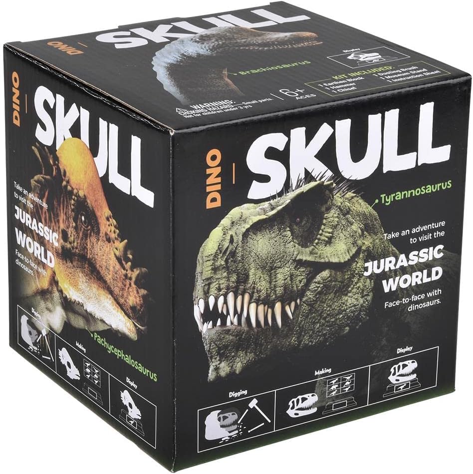 Rhode Island Novelty 6.5" Brachiosaurus Skull Excavation Kit, 1 Piece per Order
