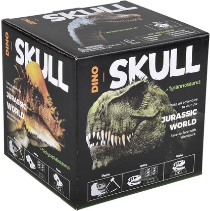 Rhode Island Novelty 6.5" Brachiosaurus Skull Excavation Kit, 1 Piece per Order